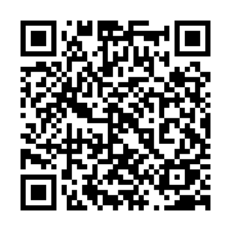 QR code for 462AQU