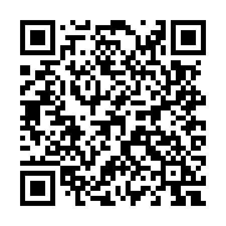 QR code for 462MZI
