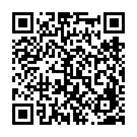 QR code for 463FFF