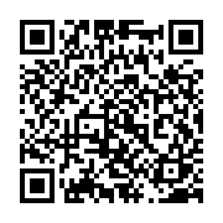 QR code for 463IQS