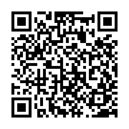 QR code for 463MIR