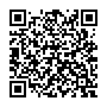 QR code for 463SIN