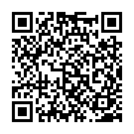QR code for 463SUS