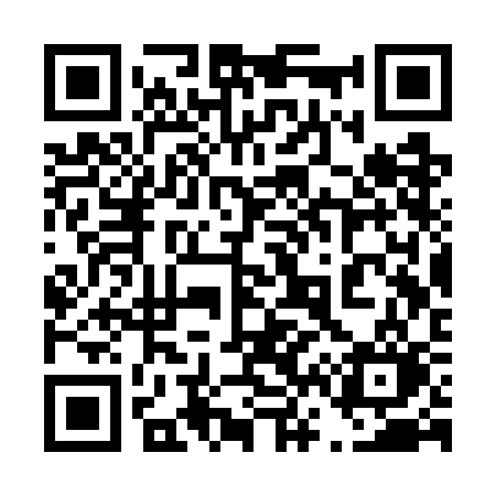 QR code for 463WCO