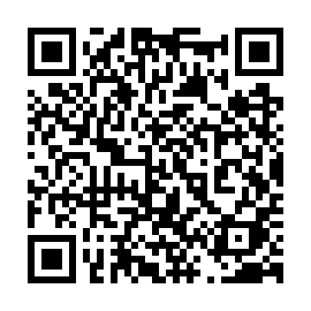 QR code for 463WPI