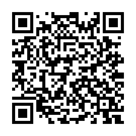 QR code for 482PES