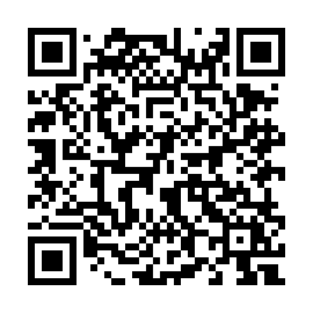 QR code for 489DLX