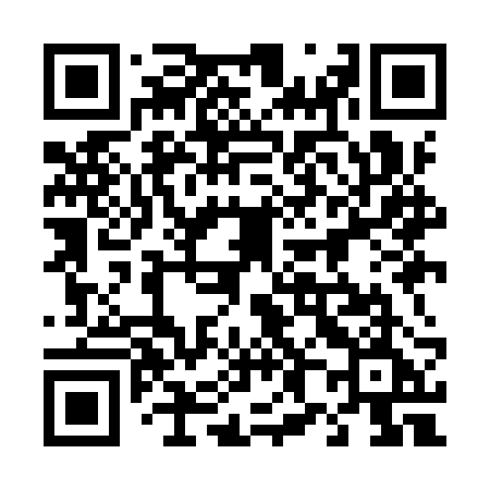 QR code for 489IRE