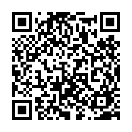 QR code for 489TAG