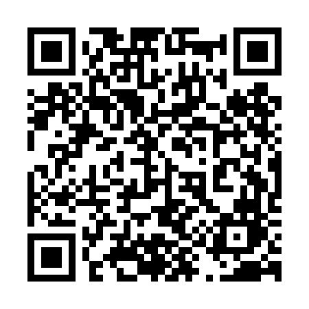 QR code for 491DFN