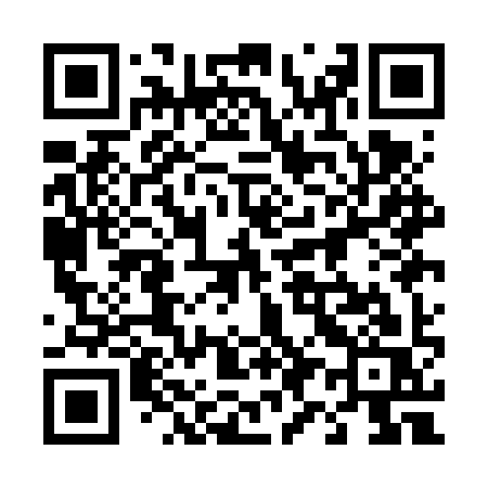 QR code for 491FYS