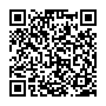 QR code for 491LSS