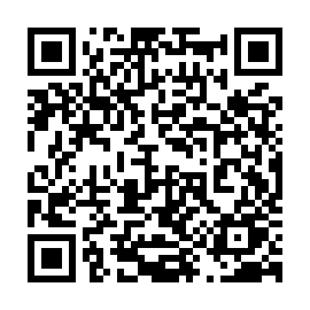 QR code for 491MZU