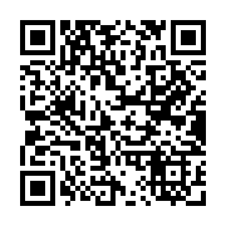 QR code for 491SNK