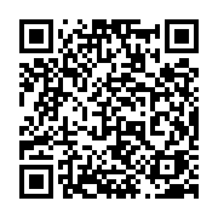QR code for 491USA