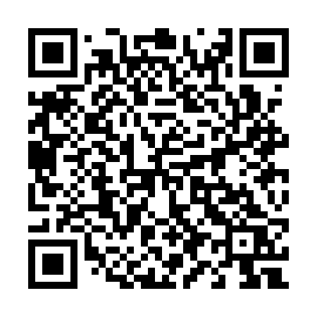 QR code for 493ARS
