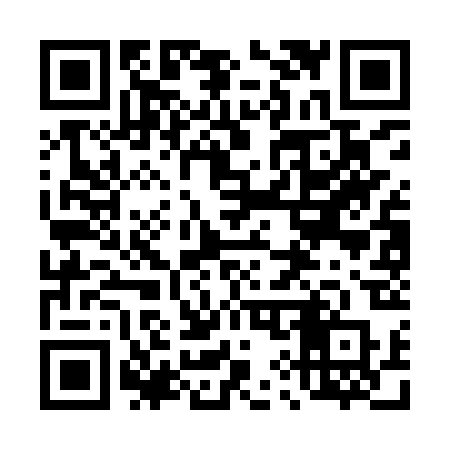 QR code for 493IRP