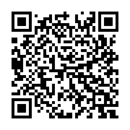 QR code for 493IUT