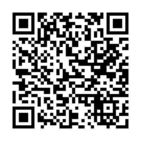 QR code for 493LNG
