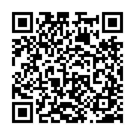 QR code for 493NNS