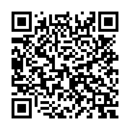 QR code for 493NPP