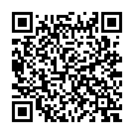 QR code for 493QEI