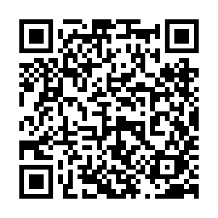 QR code for 493RIK