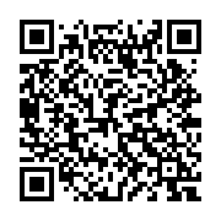 QR code for 493RUI