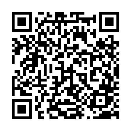 QR code for 493SDR