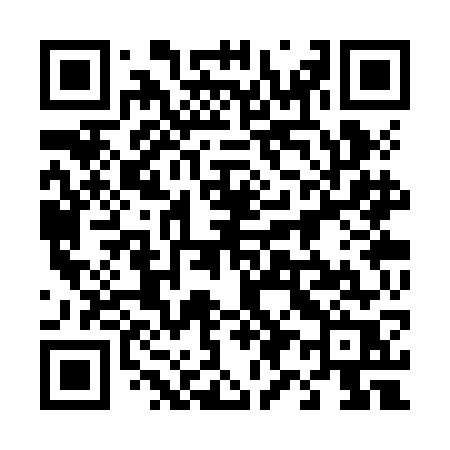 QR code for 493ZGR