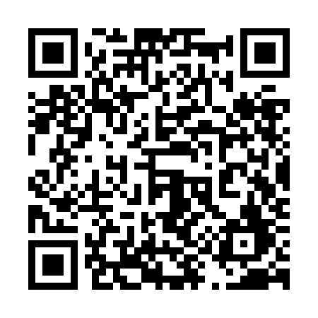 QR code for 493ZKF