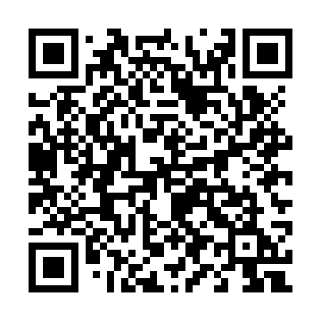 QR code for 495JSE
