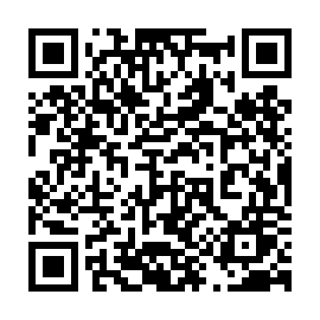 QR code for 495TOW