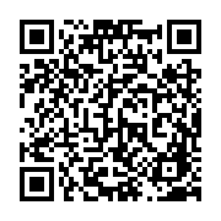 QR code for 498SVG