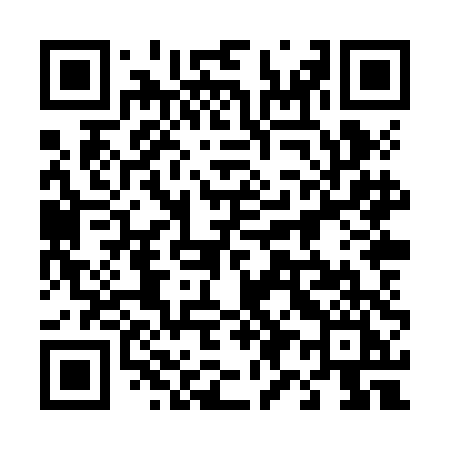 QR code for 498ZDI