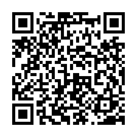 QR code for 499NSS
