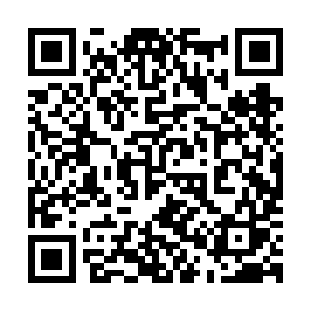 QR code for 500FIS