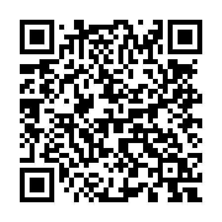 QR code for 500LSV