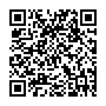 QR code for 500ZIC