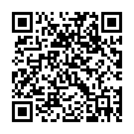 QR code for 509APE