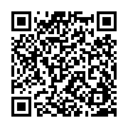 QR code for 509DZB