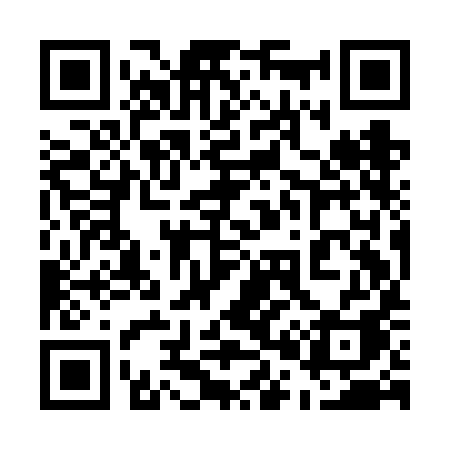 QR code for 509FIA