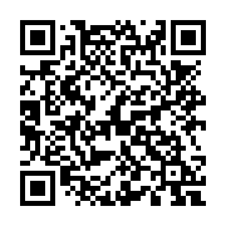 QR code for 509NSE