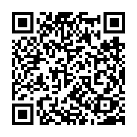 QR code for 509VSX