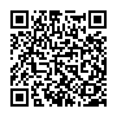 QR code for 510MEX