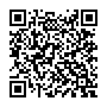 QR code for 511DAN
