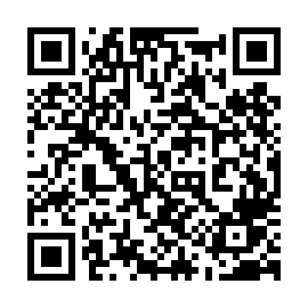 QR code for 511DLV
