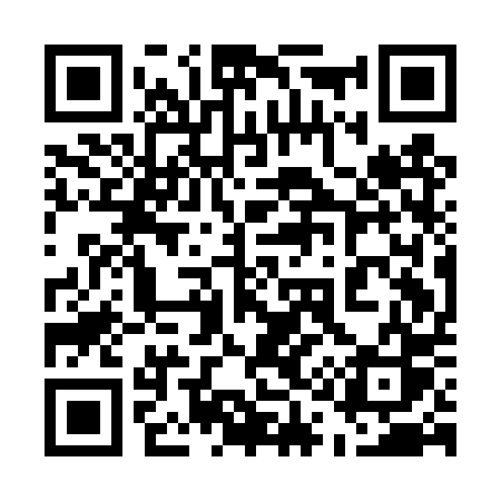 QR code for 511DPS