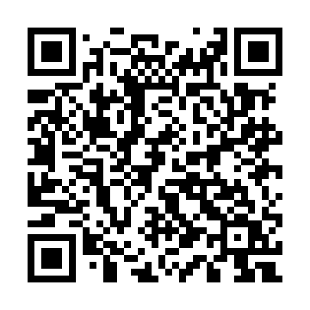 QR code for 511MAV