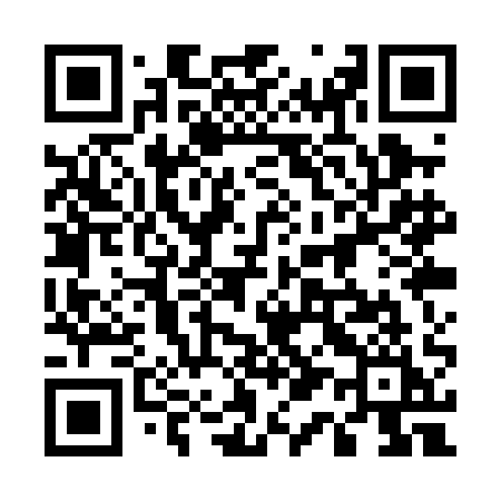 QR code for 511PAI
